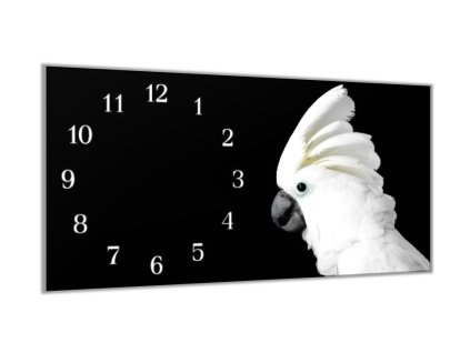 Nástěnné hodiny 30x60cm papoušek kakadu bílý (Materiál kalené sklo)