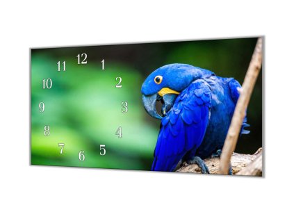 Nástěnné hodiny 30x60cm papoušek Ara Hyacintova (Materiál kalené sklo)