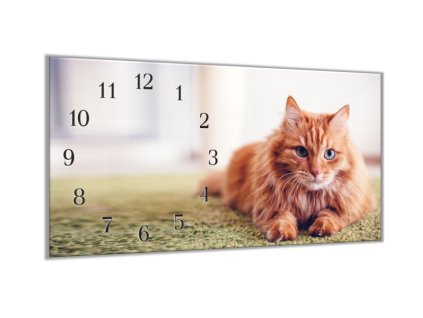 Nástěnné hodiny 30x60cm zrzavá chlupatá kočka (Materiál kalené sklo)