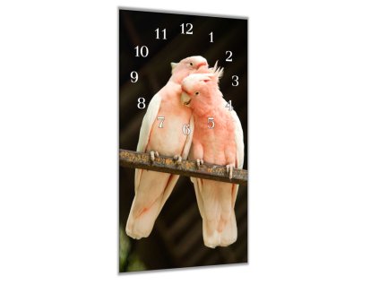 Nástěnné hodiny 30x60cm para kakadu inka (Materiál kalené sklo)