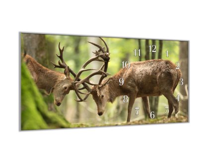 Nástěnné hodiny 30x60cm jeleni v boji (Materiál kalené sklo)