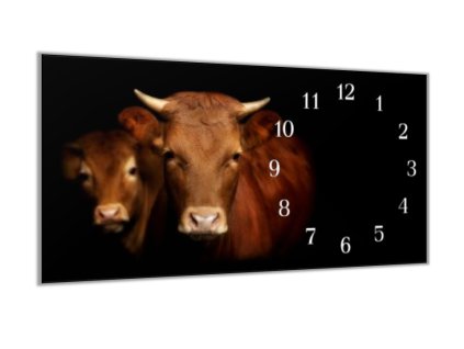 Nástěnné hodiny 30x60cm portrét kráva a býk (Materiál kalené sklo)