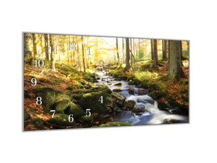 Nástěnné hodiny řeka v lese příroda 30x60cm (Materiál kalené sklo)