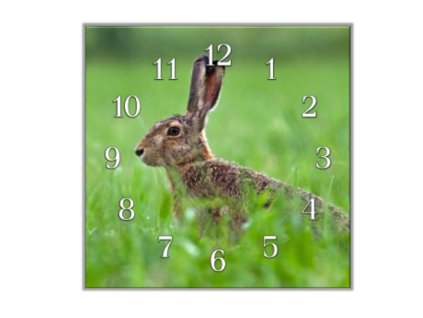 Nástěnné hodiny 30x30cm zajíc v trávě (Materiál kalené sklo)