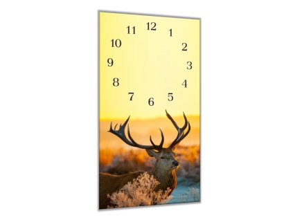Nástěnné hodiny 30x60cm jelen v ranním slunci (Materiál kalené sklo)