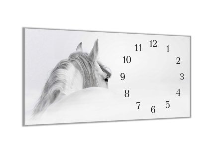 Nástěnné hodiny 30x60cm silueta koně v mlze (Materiál kalené sklo)