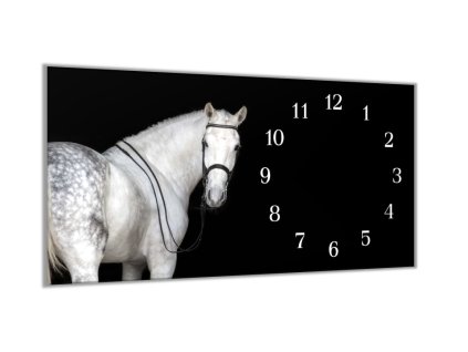 Nástěnné hodiny 30x60cm kůň grošák (Materiál kalené sklo)