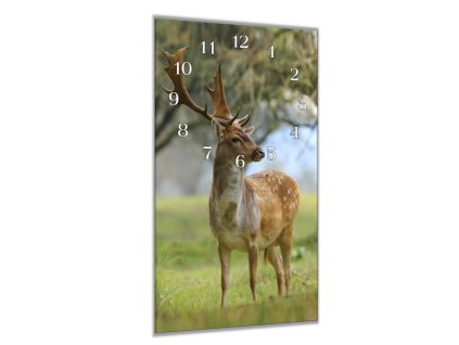 Nástěnné hodiny 30x60cm velký daněk (Materiál kalené sklo)