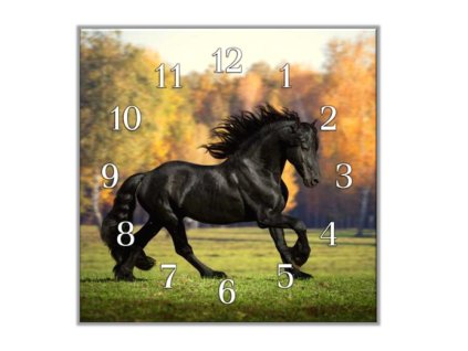 Nástěnné hodiny 30x30cm fríský kůň v kluse na louce (Materiál kalené sklo)