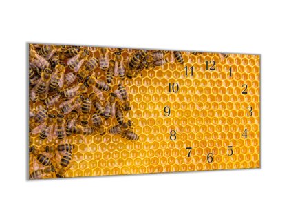 Nástěnné hodiny 30x60cm včelí plástev se včelou (Materiál kalené sklo)