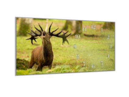 Nástěnné hodiny 30x60cm řvoucí jelen v lese (Materiál kalené sklo)