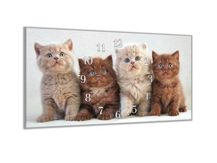 Nástěnné hodiny 30x60cm koťata britské kočky (Materiál kalené sklo)