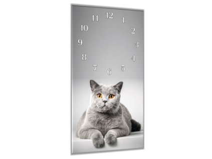 Nástěnné hodiny 30x60cm britská kočka šedá (Materiál kalené sklo)