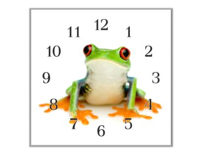 Nástěnné hodiny 30x30cm zelená žába rosnička (Materiál kalené sklo)