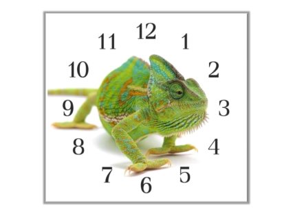 Nástěnné hodiny 30x30cm zelený chameleon (Materiál kalené sklo)