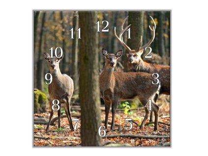 Nástěnné hodiny 30x30cm jelen a laně v lese (Materiál kalené sklo)