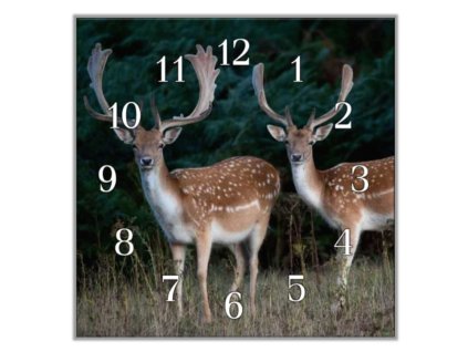 Nástěnné hodiny 30x30cm daňci na louce (Materiál kalené sklo)