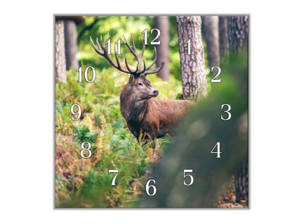 Nástěnné hodiny 30x30cm jelen v lese (Materiál kalené sklo)