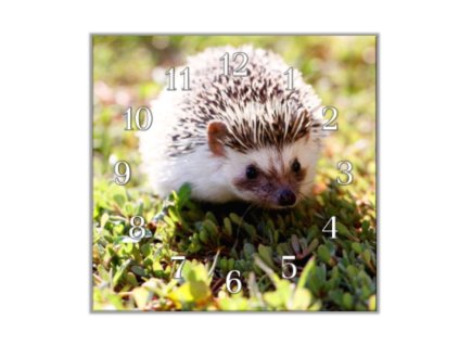Nástěnné hodiny 30x30cm ježek na trávě (Materiál kalené sklo)