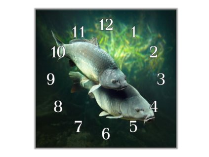 Nástěnné hodiny 30x30cm kapři pod hladinou (Materiál kalené sklo)