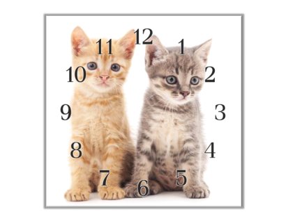 Nástěnné hodiny 30x30cm dvě koťata (Materiál kalené sklo)