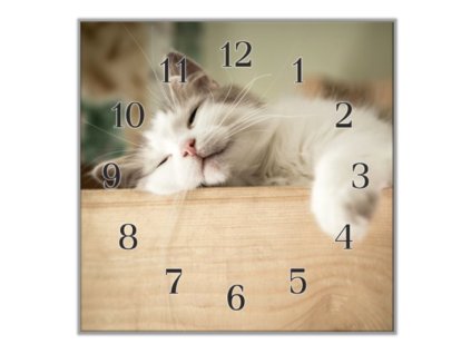 Nástěnné hodiny 30x30cm spící kočka na dřevě (Materiál kalené sklo)