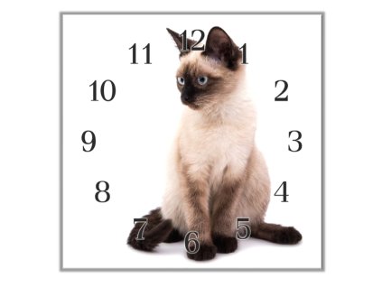 Nástěnné hodiny 30x30cm sedící siamská kočka (Materiál kalené sklo)