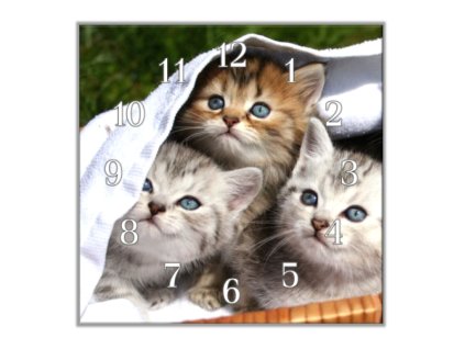 Nástěnné hodiny 30x30cm tři koťata v košíku (Materiál kalené sklo)