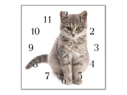 Nástěnné hodiny 30x30cm sedící šedá kočka (Materiál kalené sklo)