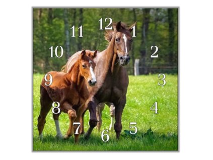 Nástěnné hodiny 30x30cm kobyla a hříbě na pastvě (Materiál kalené sklo)