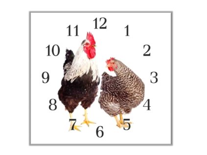 Nástěnné hodiny 30x30cm slepice a kohout (Materiál kalené sklo)