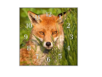 Nástěnné hodiny 30x30cm liška v trávě (Materiál kalené sklo)