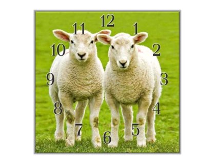 Nástěnné hodiny 30x30cm dvě ovce na pastvě (Materiál kalené sklo)