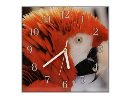 Nástěnné hodiny 30x30cm papoušek ara arakanga (Materiál kalené sklo)