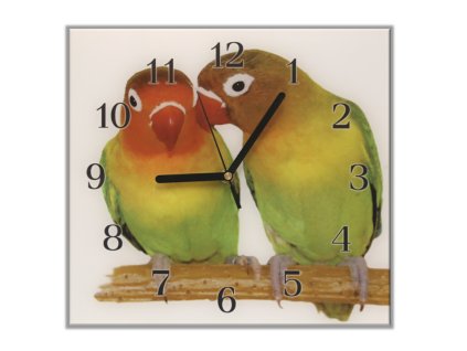 Nástěnné hodiny 30x30cm papoušek Agapornis fišerový (Materiál kalené sklo)