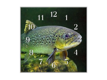 Nástěnné hodiny 30x30cm ryba pstruh (Materiál kalené sklo)