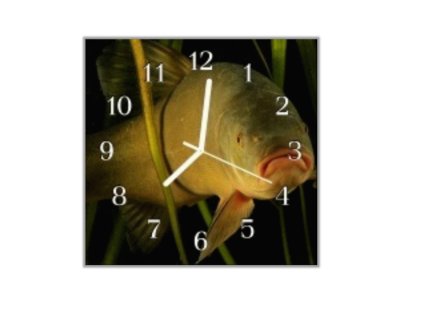 Nástěnné hodiny 30x30cm ryba lín (Materiál kalené sklo)