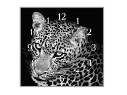 Nástěnné hodiny leopard v bílé a černé (Materiál kalené sklo)
