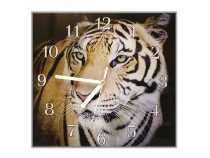 Nástěnné hodiny 30x30cm šelma tygr zlatý (Materiál kalené sklo)