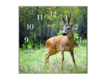 Nástěnné hodiny 30x30cm srnec na pastvě (Materiál kalené sklo)