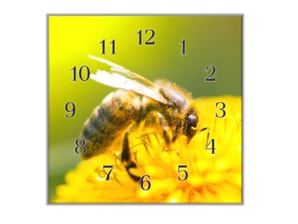 Nástěnné hodiny 30x30cm včela na žlutém květu (Materiál kalené sklo)