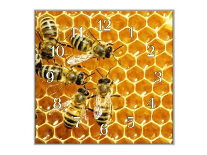 Nástěnné hodiny 30x30cm včely, plástev (Materiál kalené sklo)