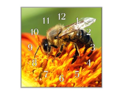 Nástěnné hodiny 30x30cm včela na květu (Materiál kalené sklo)