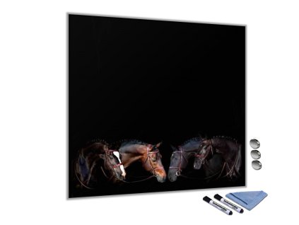 tabule sklo magneticka dekoracni ctverec ctyri hlavy konu 165078066