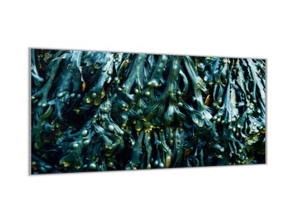 obraz velky format sklo graficky tisk tyrkysova morska rasa 289081873