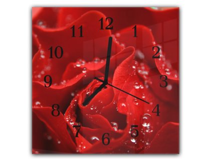 Nástěnné hodiny 30x30cm květ červené růže s rosou detail (Materiál kalené sklo)