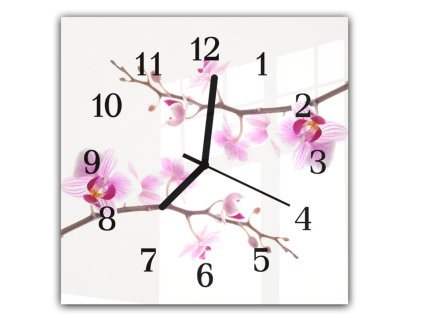 Nástěnné hodiny 30x30cm růžové květy orchideje na bílém podkladu (Materiál kalené sklo)