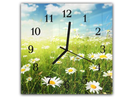 Nástěnné hodiny 30x30cm bílé kopretiny na jarní louce (Materiál kalené sklo)