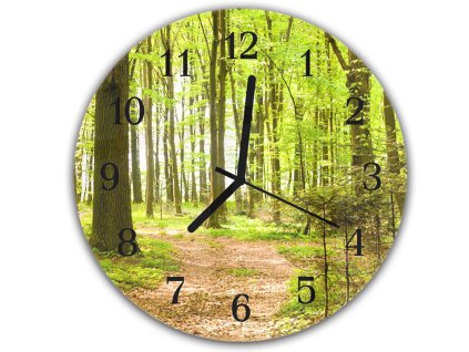 Nástěnné hodiny kulaté pr.30cm listnatý les a pěšina (Materiál kalené sklo)