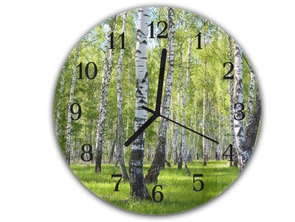 Nástěnné hodiny kulaté pr.30cm břízový les (Materiál kalené sklo)